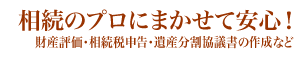 経理代行パッケージせつめい