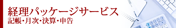 経理パッケージサービス